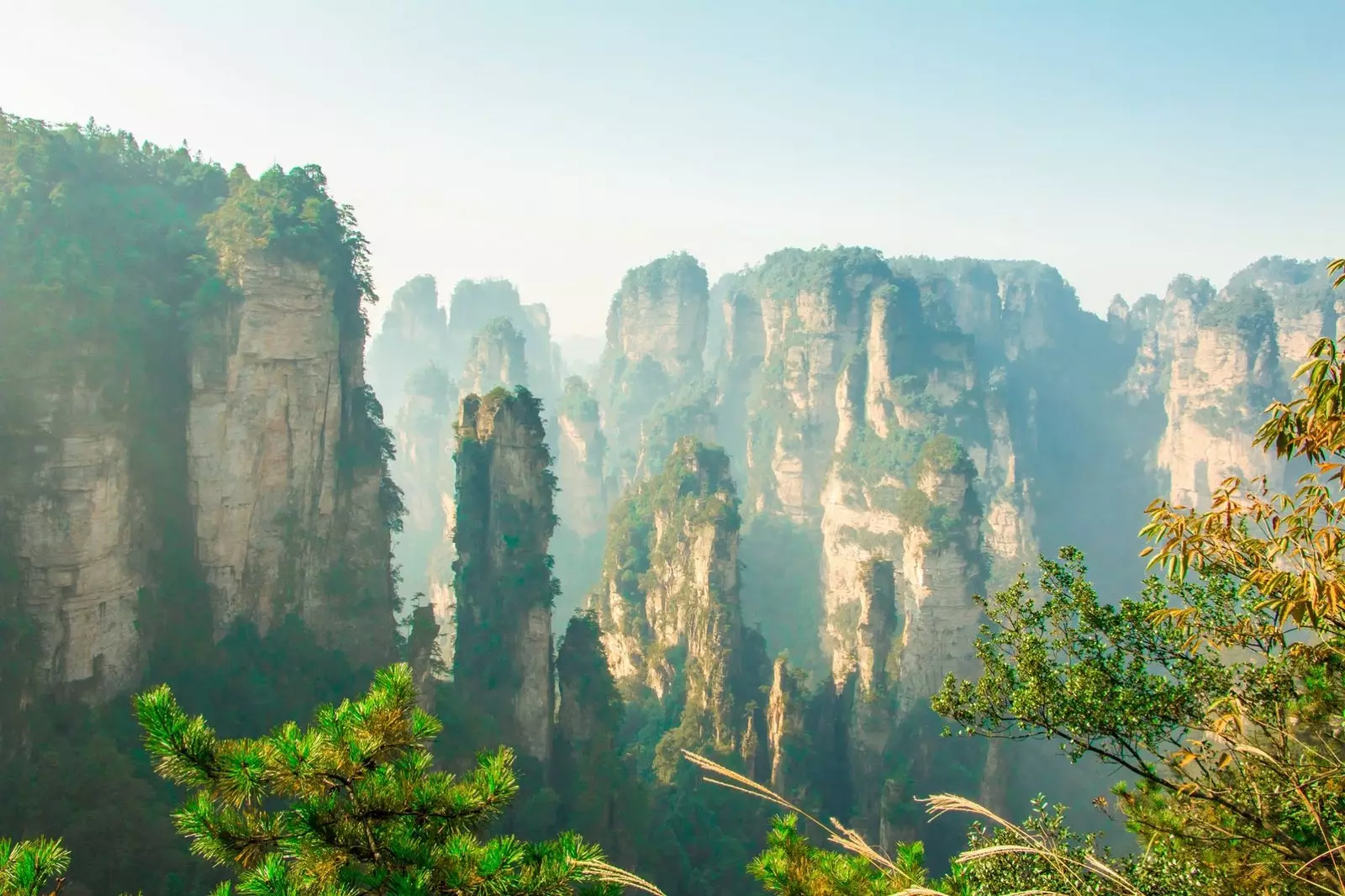 Parque Florestal Nacional de Zhangjiajie