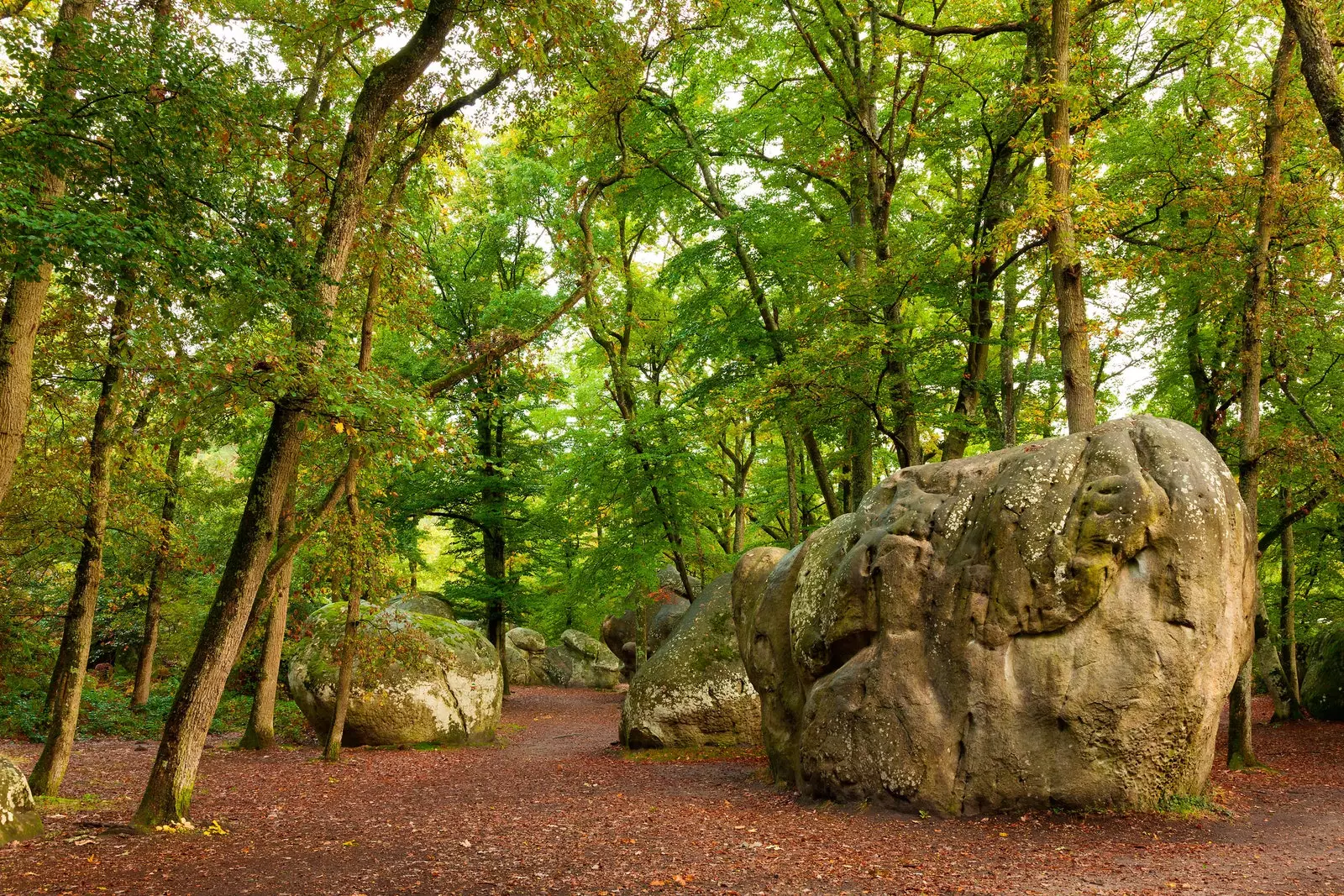 Hutan Fontainebleau