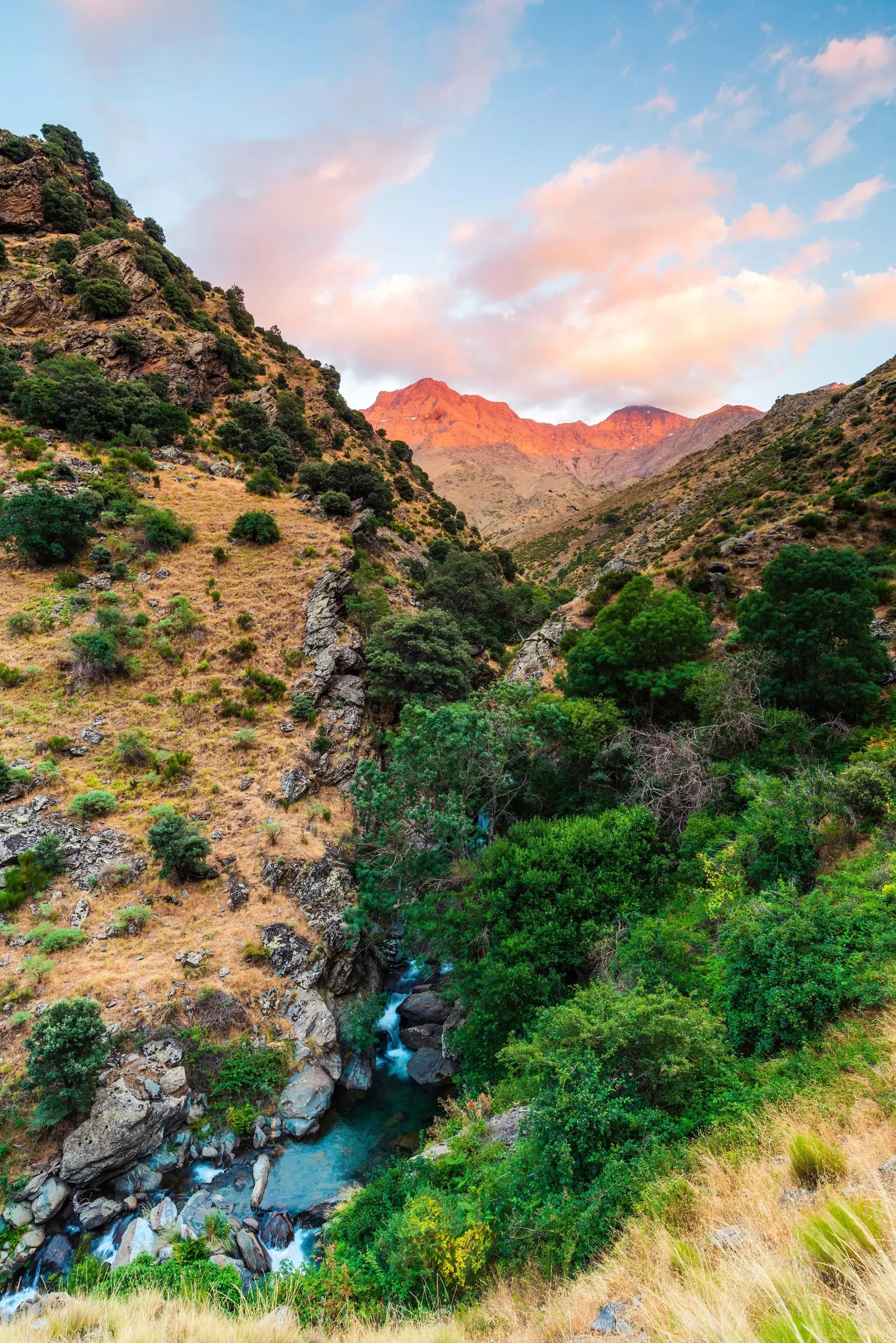 Աստղի ուղին.