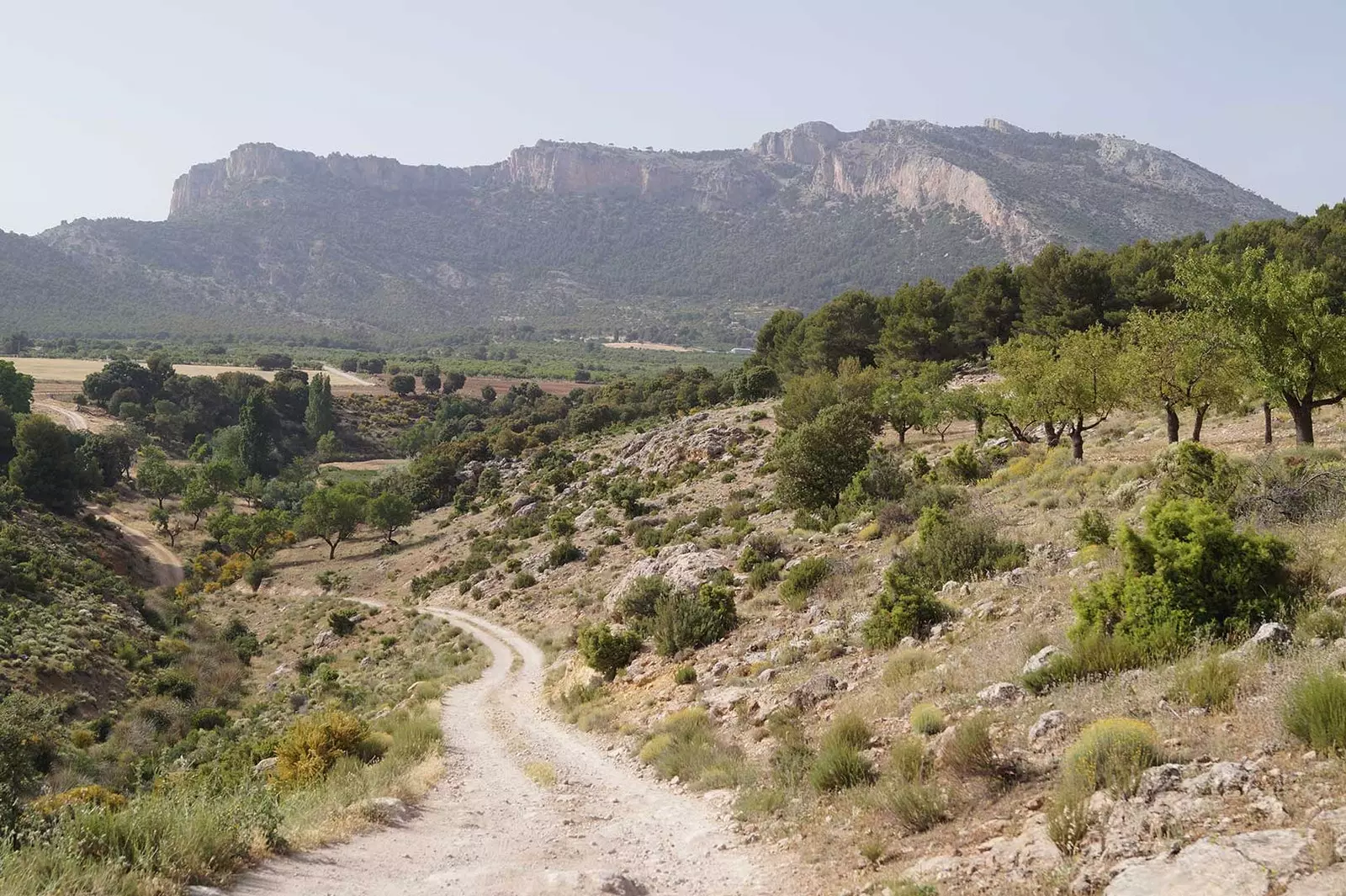 İlk Avropa sakinlərinin Böyük Yolu.