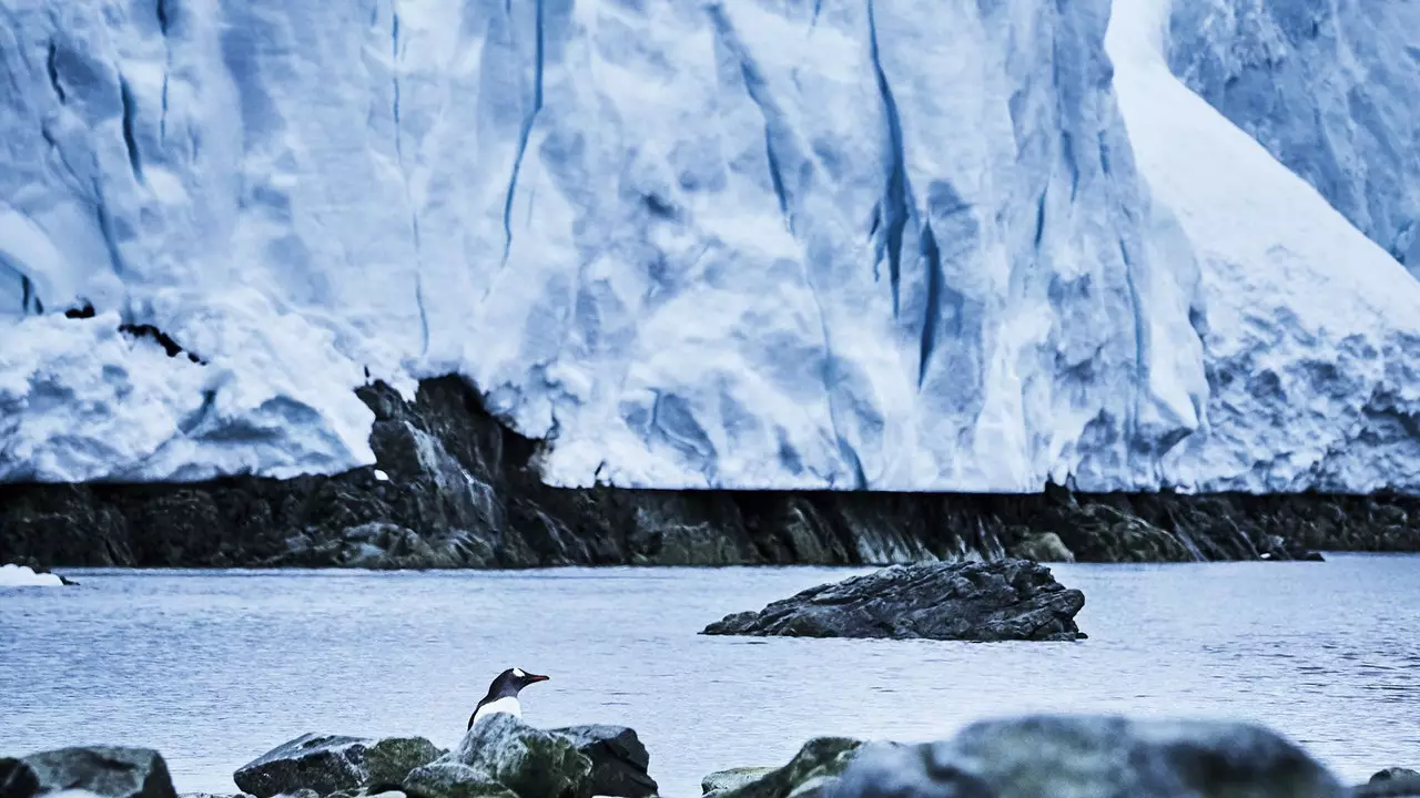 L'Antartide, una calamita per i viaggiatori che non hanno più confini da conquistare