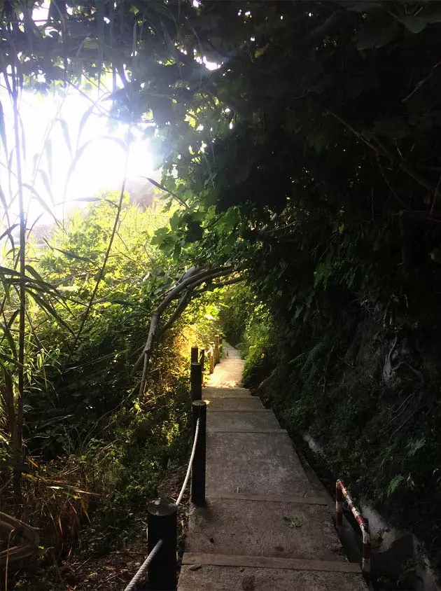 No és un dels camins a la platja més bonics que has vist