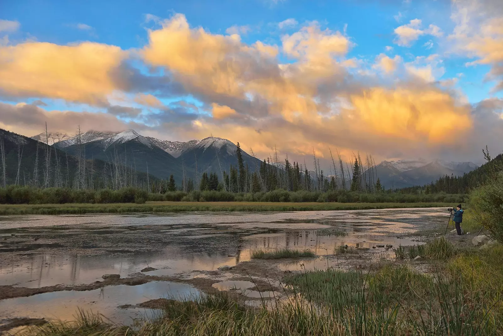 Landskap tenang di Canadian Rockies.