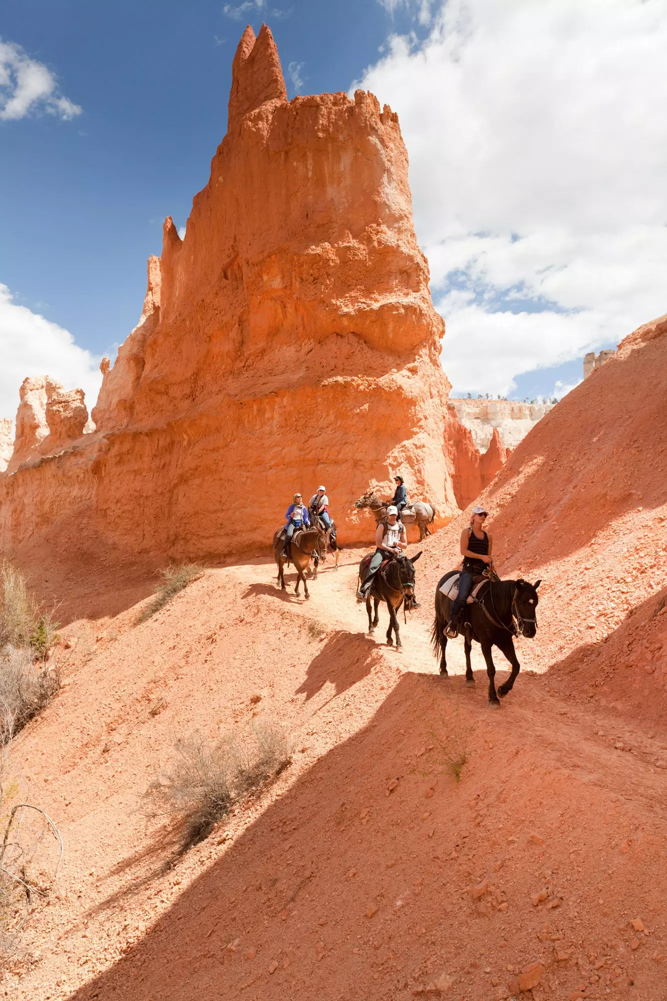 Hipur mbi kalë nëpër kanionin Bryce.