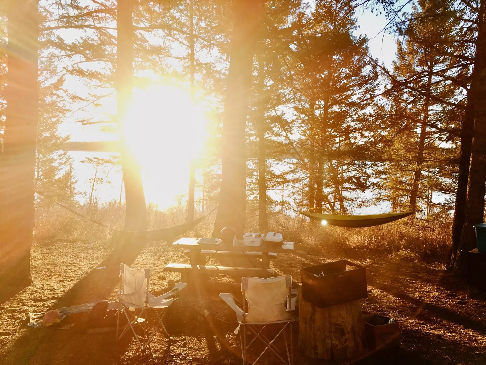 Campingbord bland träden i en nationalpark.