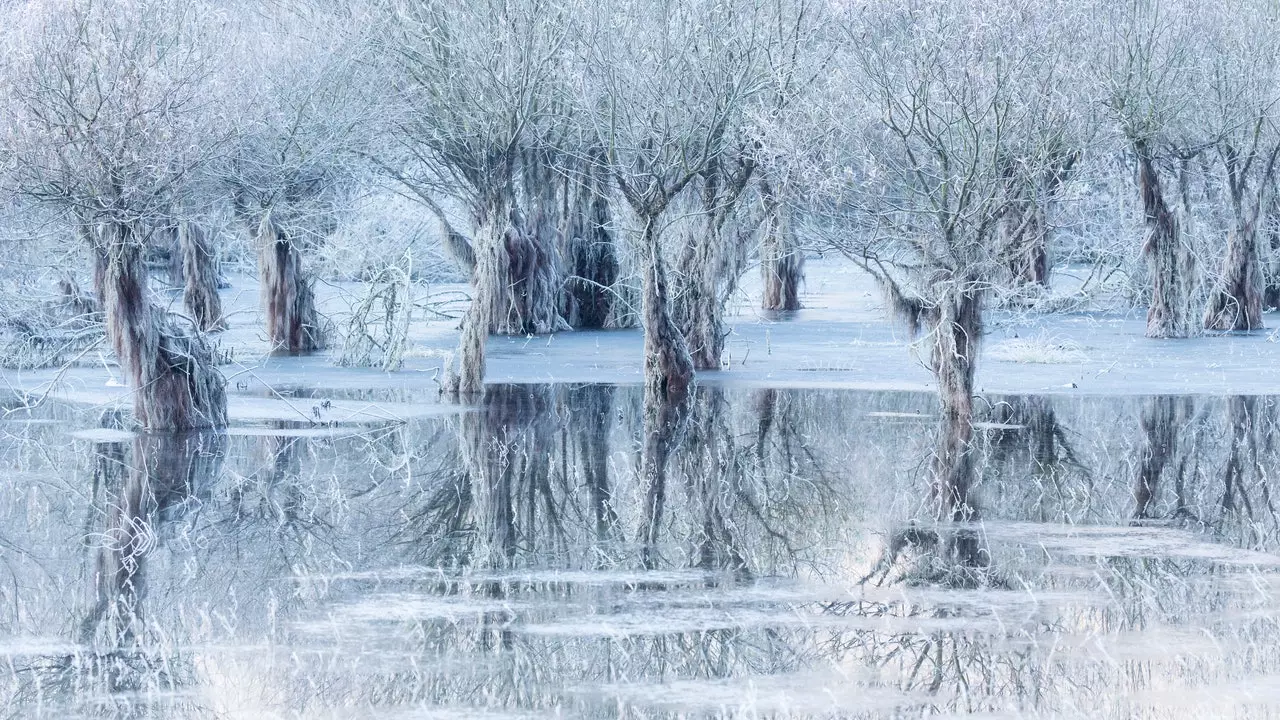 Najbolji fotograf divljih životinja godine