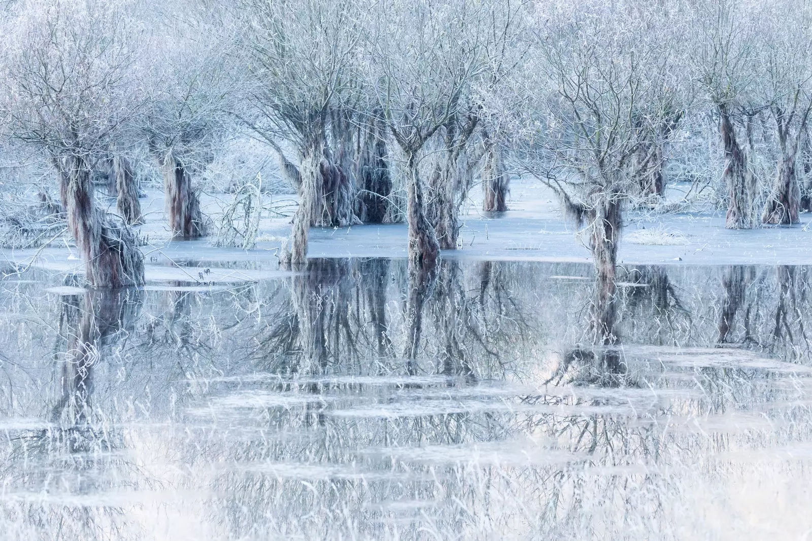 «Λίμνη πάγου»