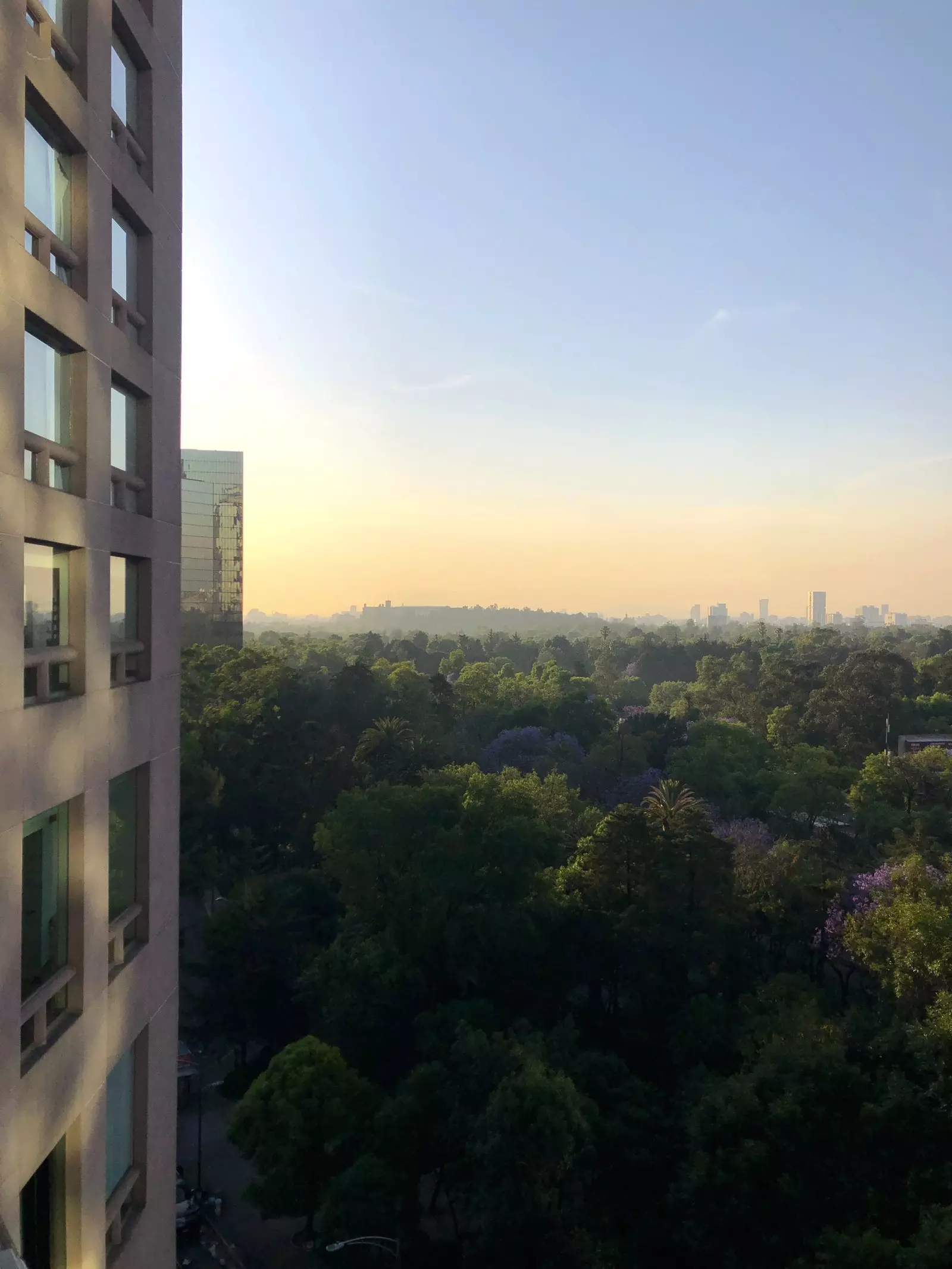 Radhairc ar fhoraois Chapultepec ó Óstán JW Marriott Cathair Mheicsiceo.