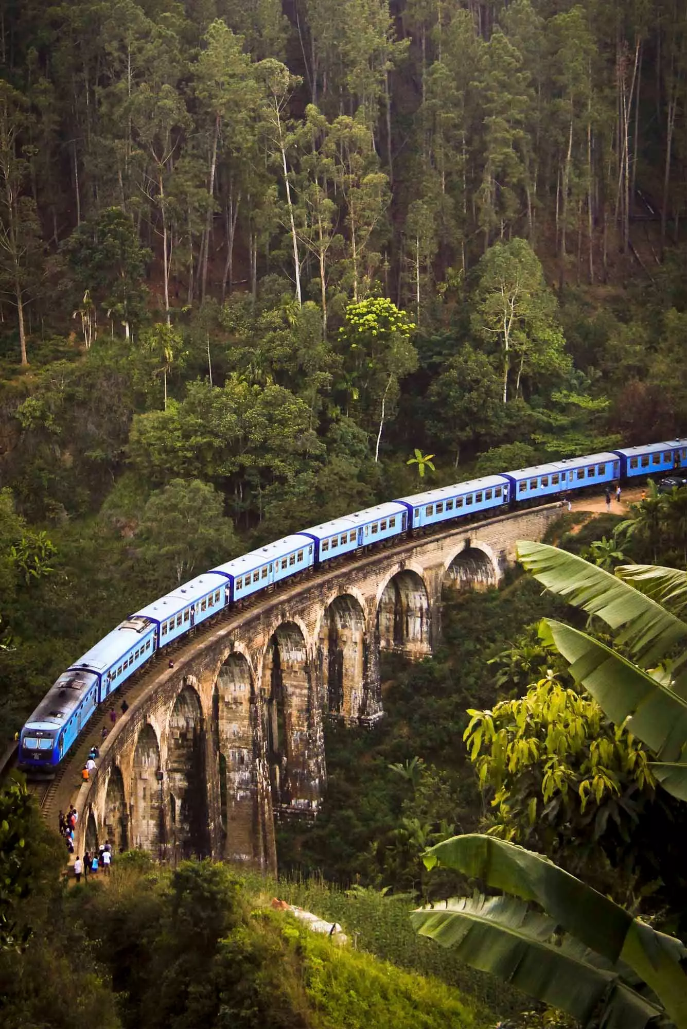 Kereta api dari Ella ke Kandy yang melalui ladang teh