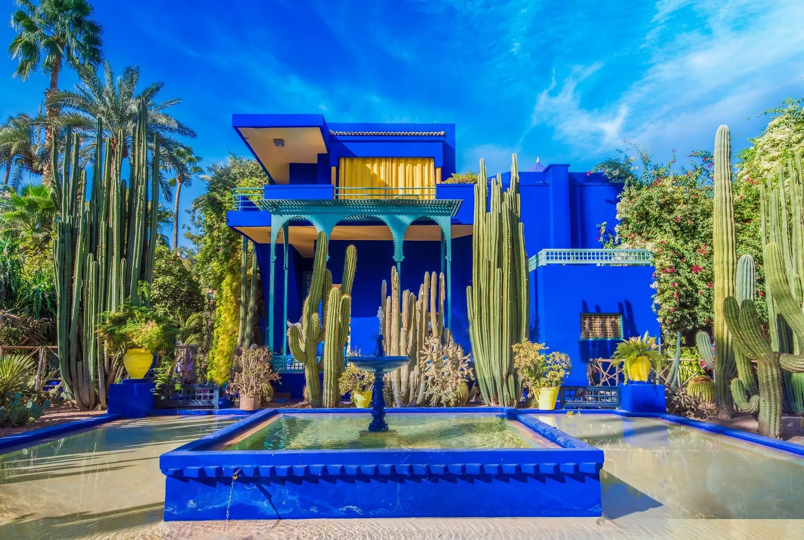 Градина Majorelle в Маракеш.