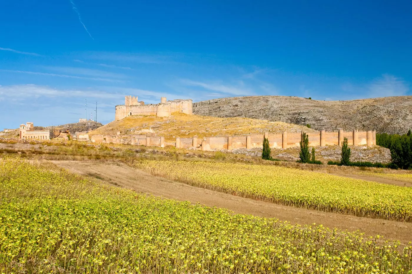 Berlanga z Duero Soria.