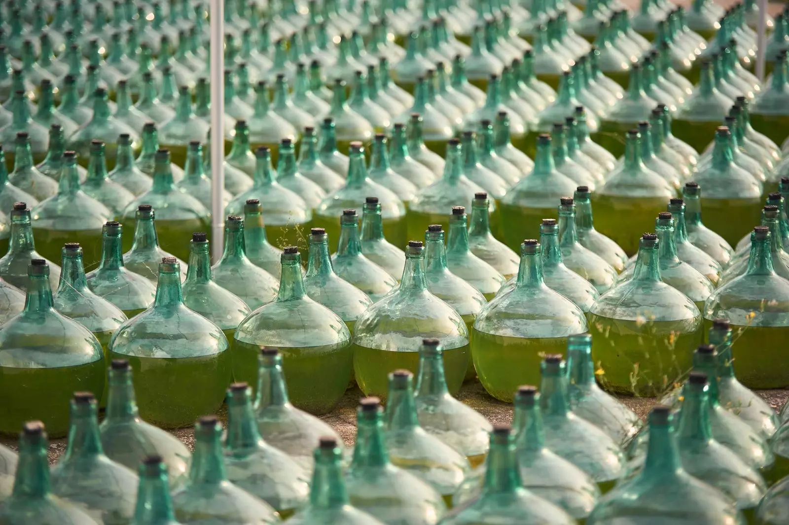 pantai Demijohn.