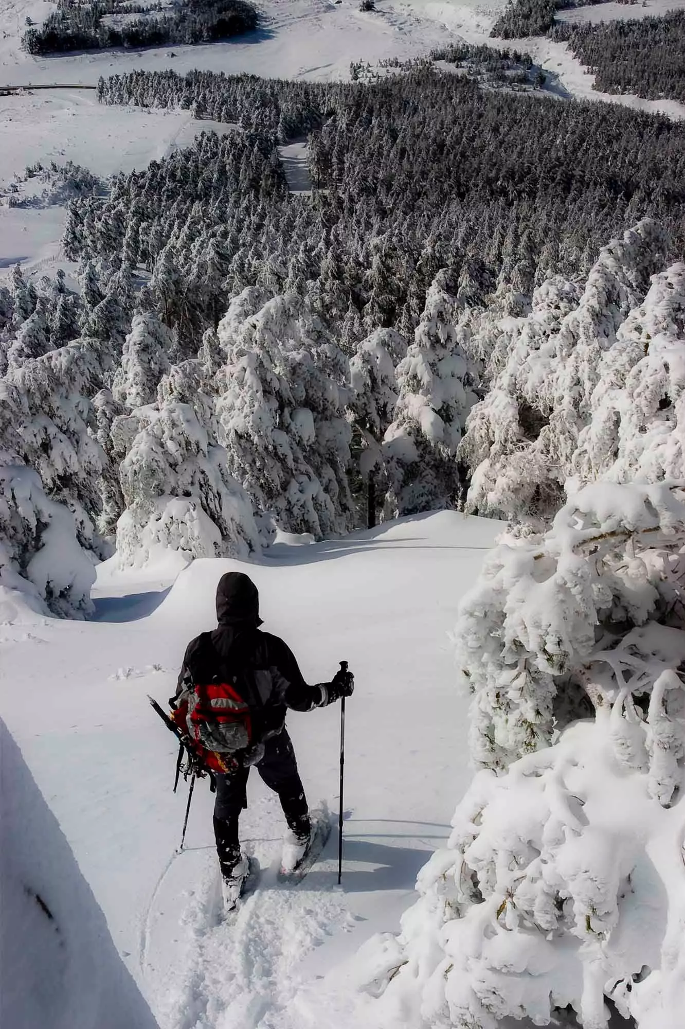 njeri që ecën nëpër dëborë në Sierra de Gredos