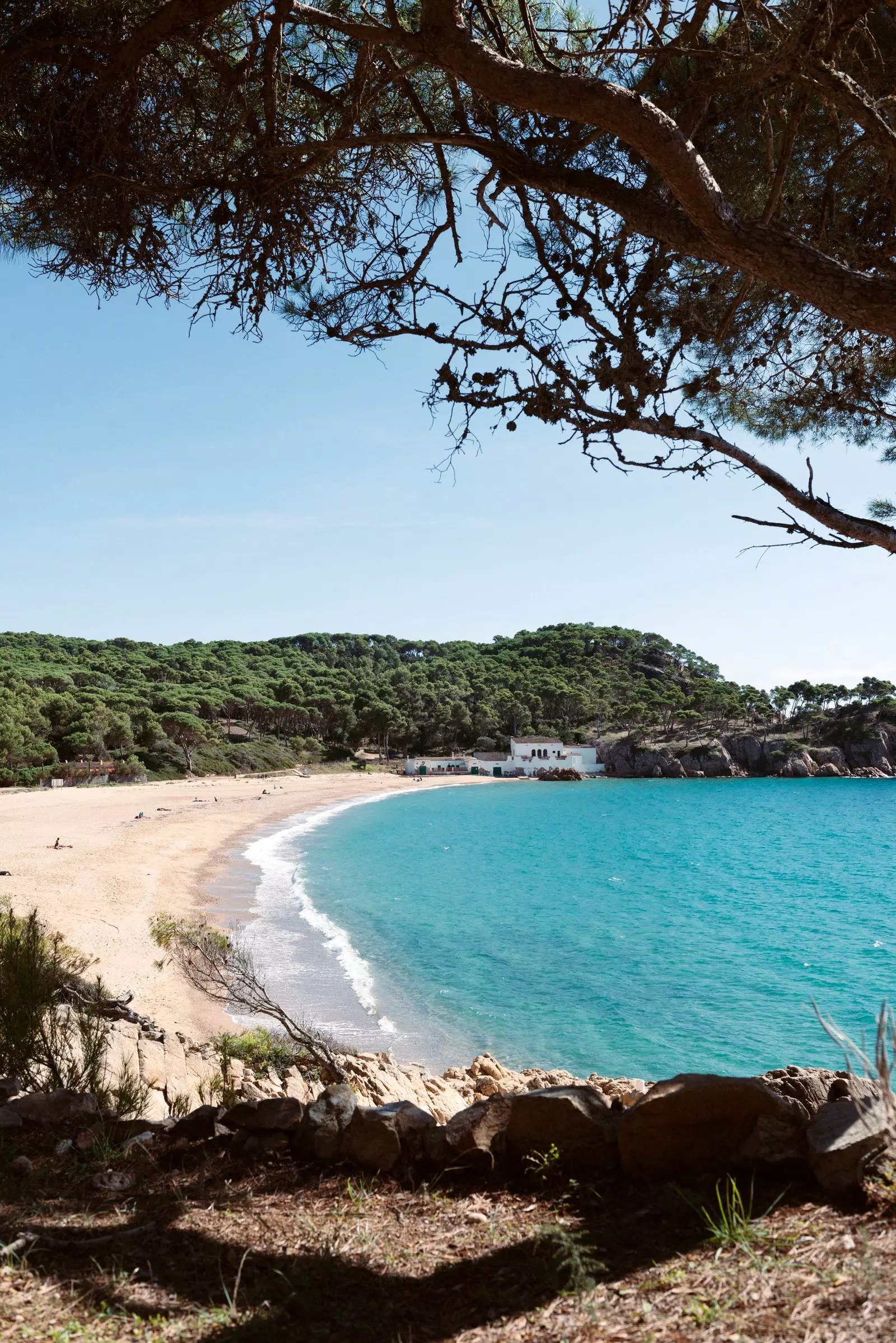 Playa Es Castell är en vild sandbank omgiven av åkrar och vassskogar i Palamós.