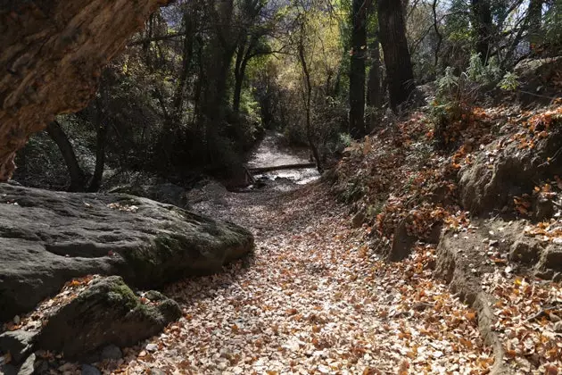 Caminho por La Taha