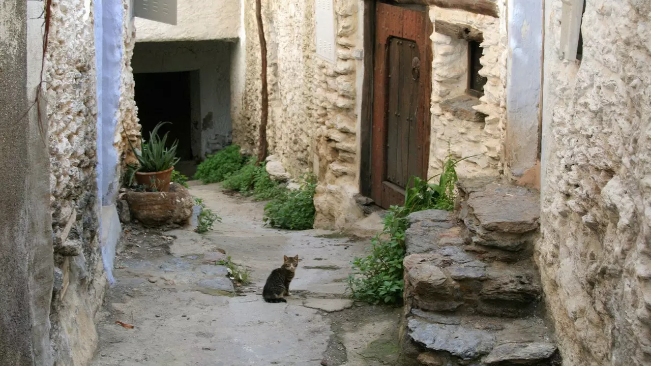 Fie ca sfârșitul lumii să ne prindă în La Taha