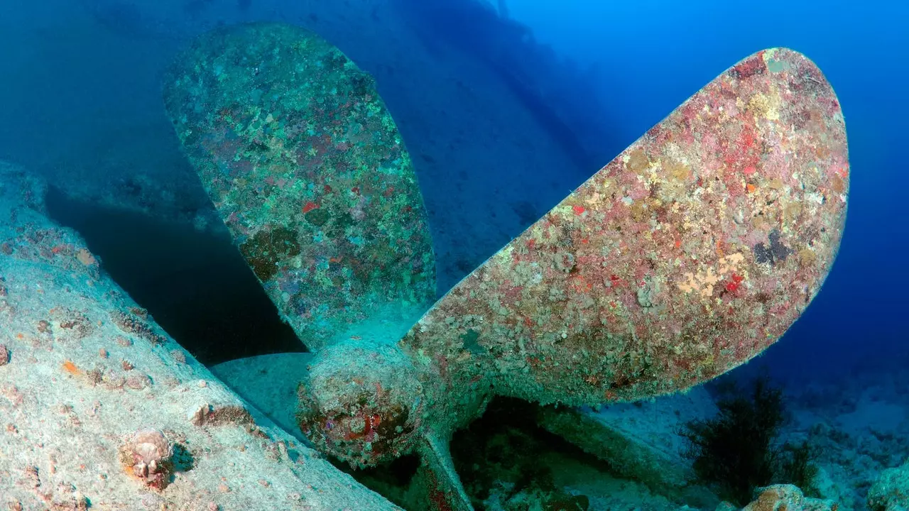 Contagem regressiva para o início da expedição do Titanic (na qual você pode participar por uma pequena taxa)