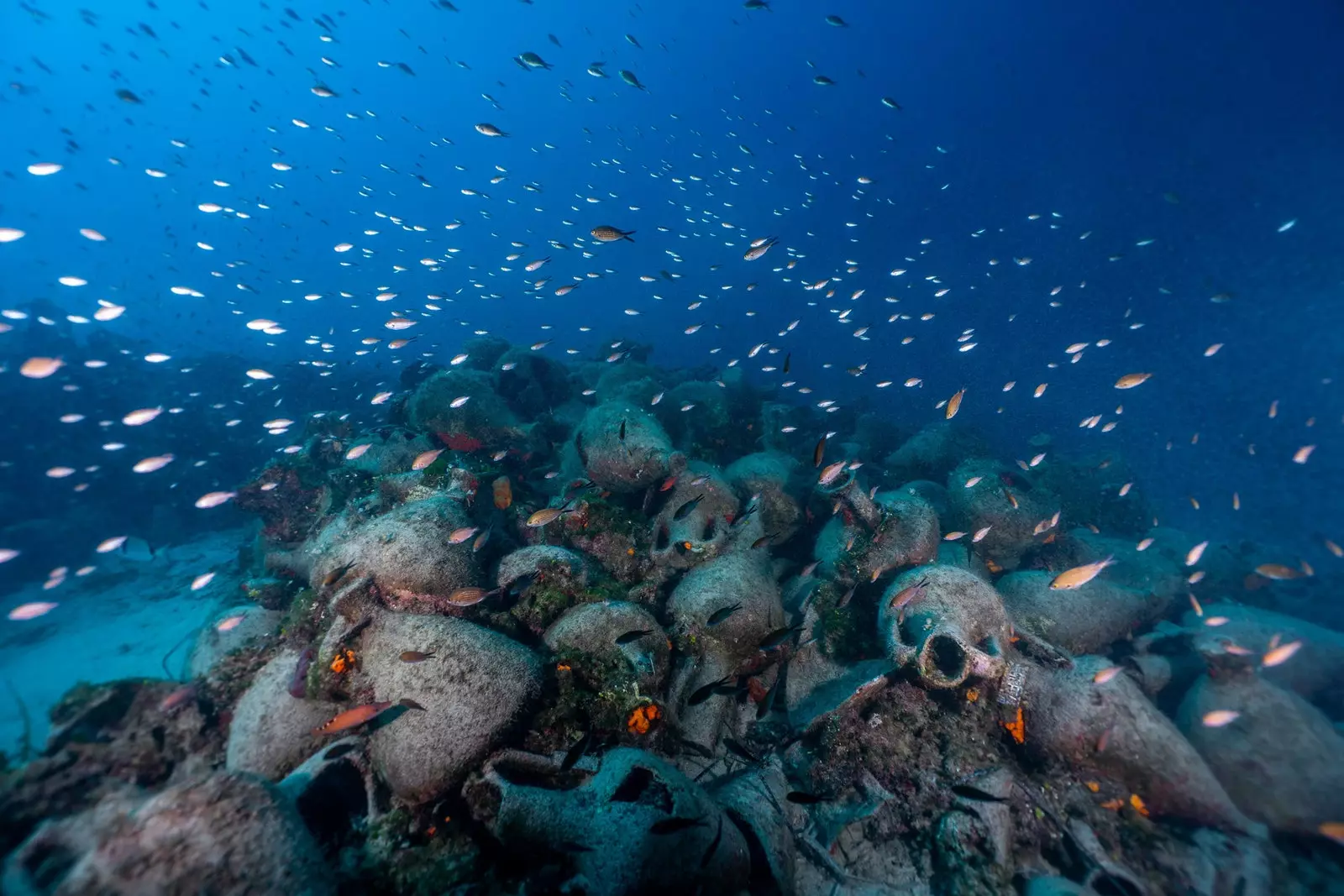 O museu está localizado no Parque Nacional Marinho de Alonnisos