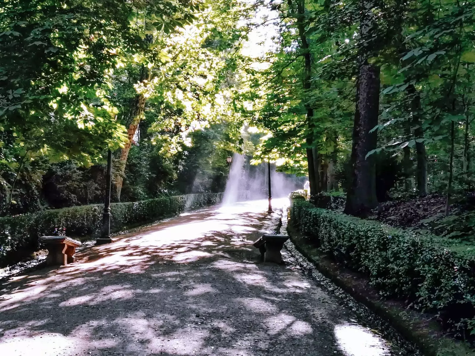 Plimbare în pădure Alhambra