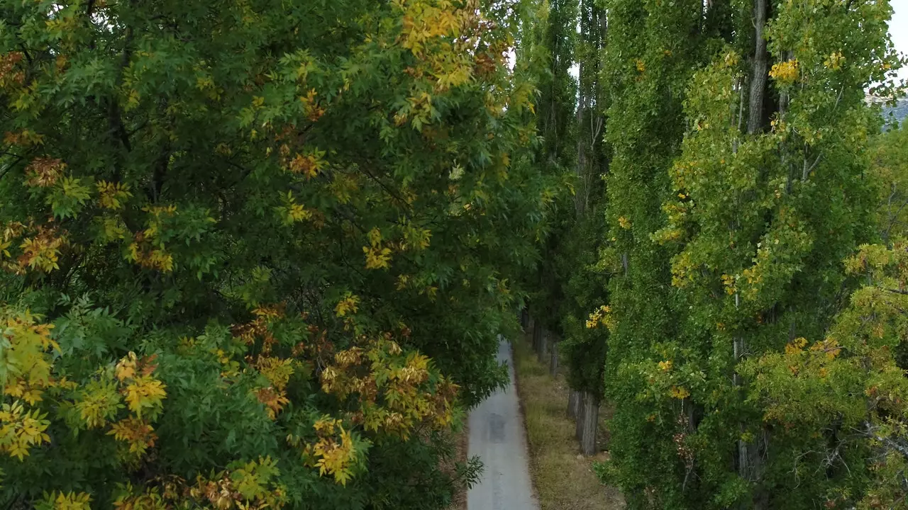 Sekvoje La Sagre, komadić Yosemitea u Granadi