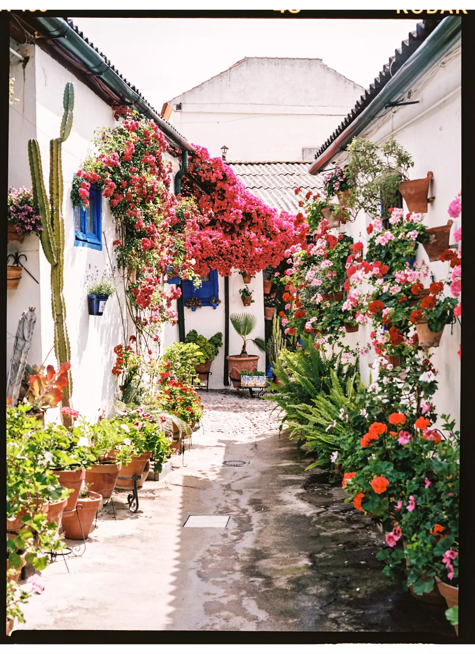 Bannenhaff vum San Basilio Quartier zu Córdoba.