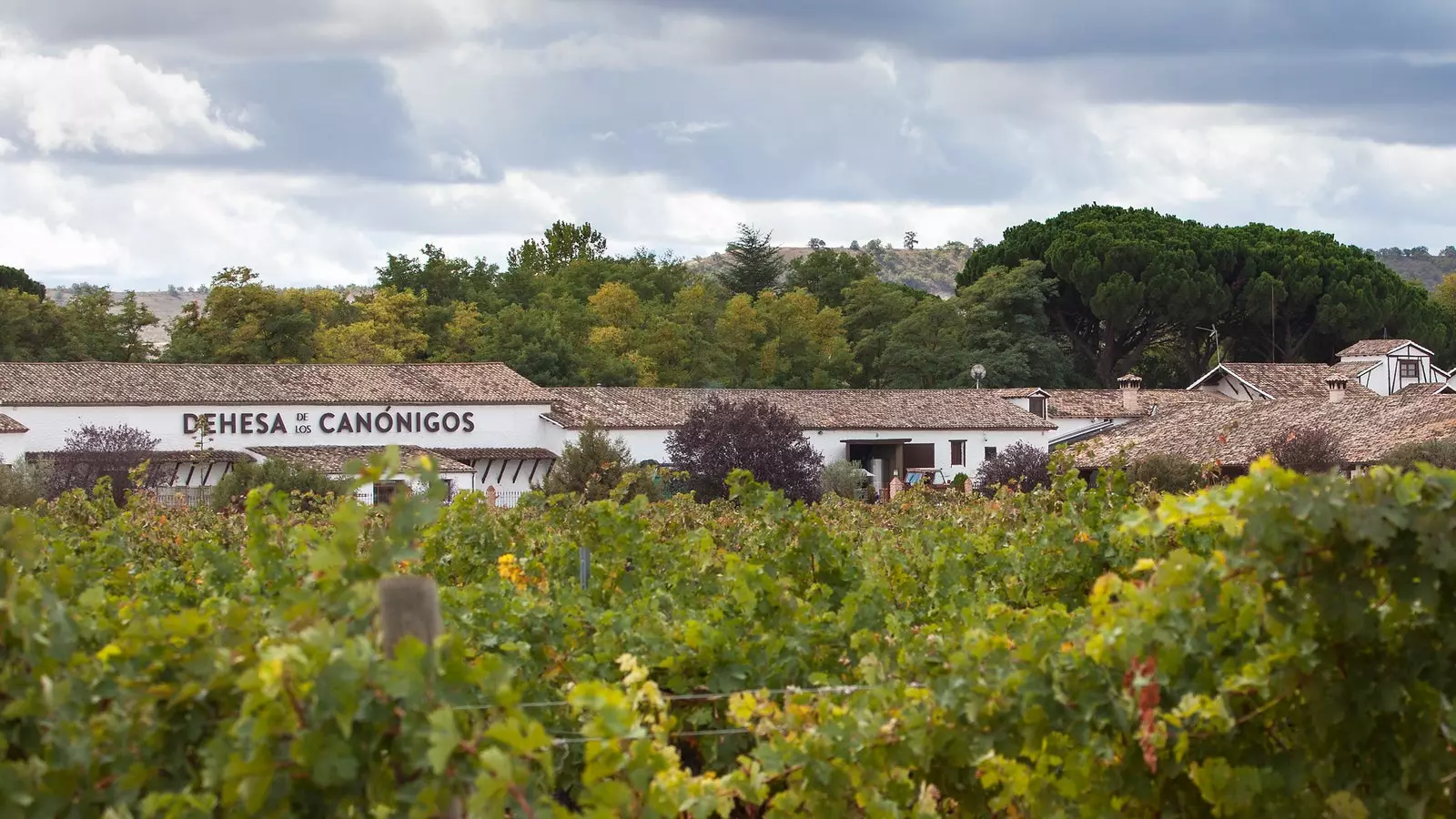 Aranda de Duero