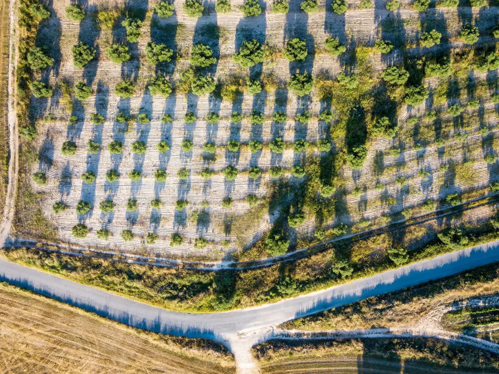 Luftfoto av en vei i Penedès