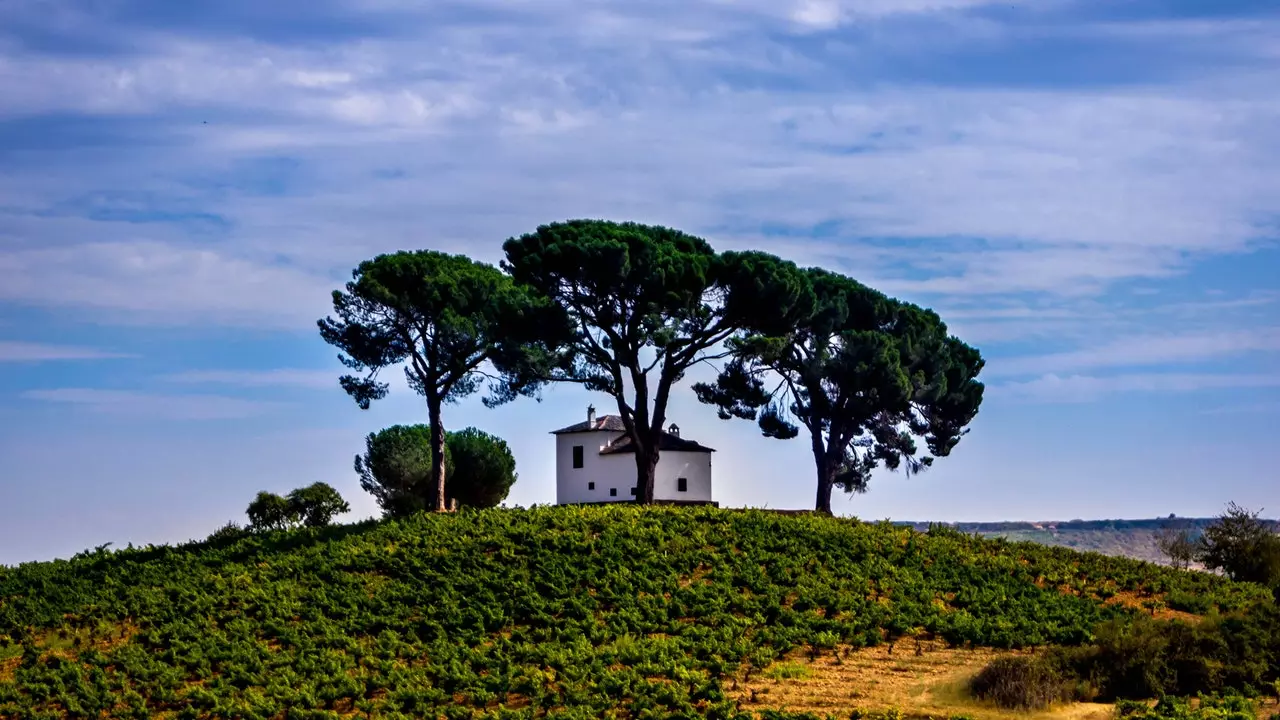 Bierzo, mycket mer än ett vin