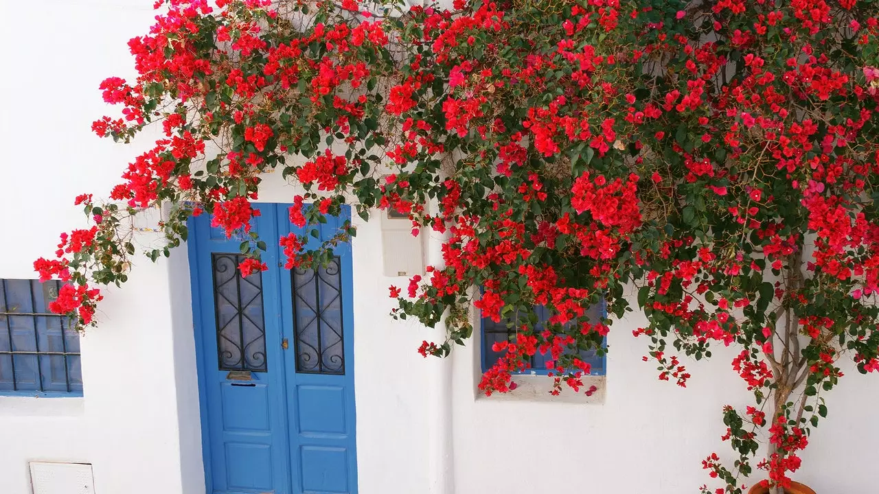 Níjar, μια λευκή πόλη σε μια θάλασσα από πηλό