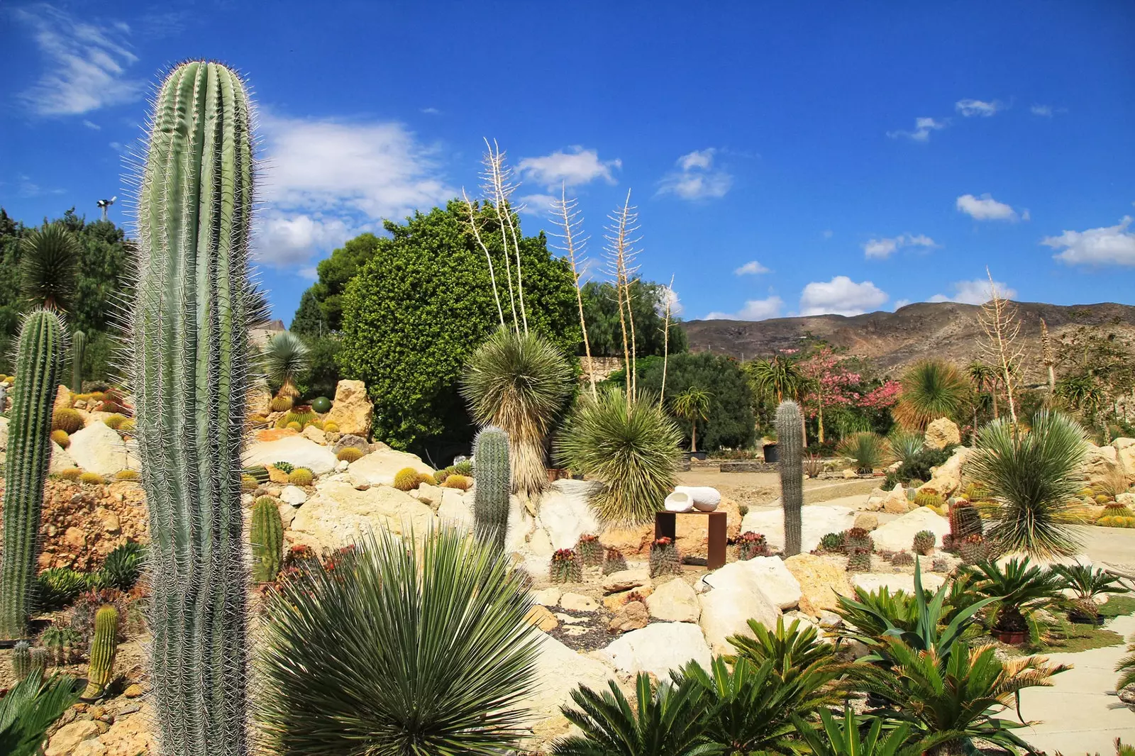 Níjar, a white town in a sea of ​​clay