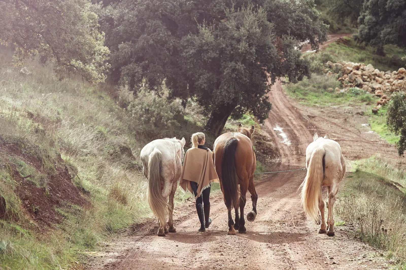 La Donaira Serra de Ronda Mlaga