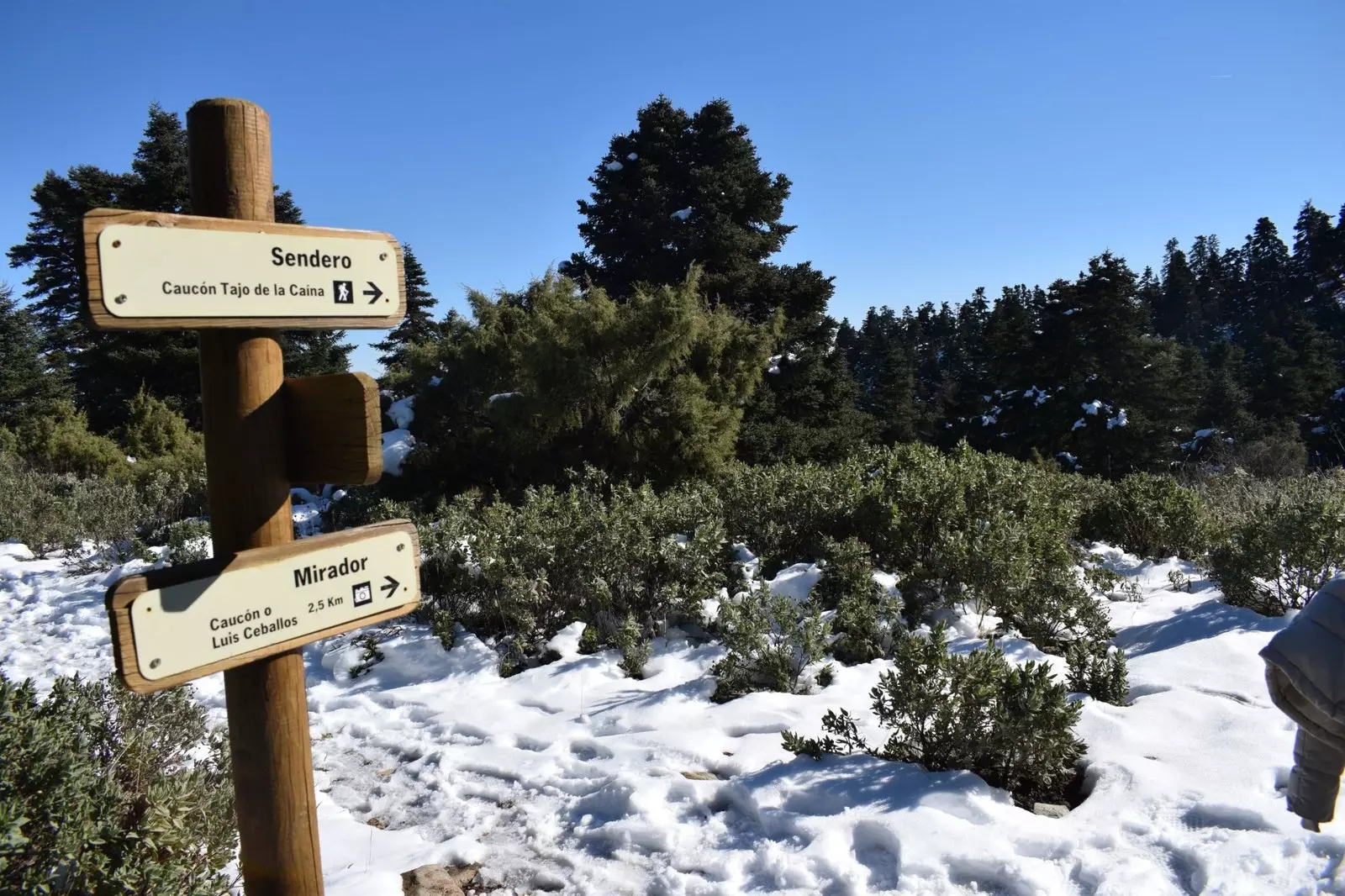 Sierra de las Nieves Yunquera Trail