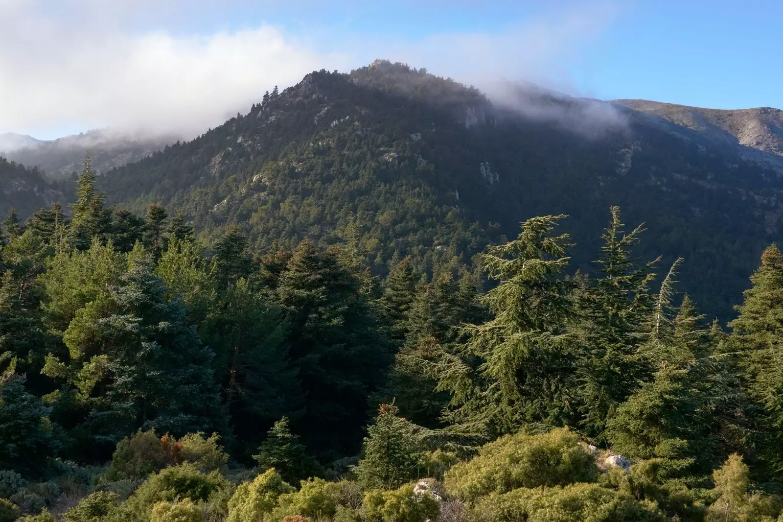 serra de les neus