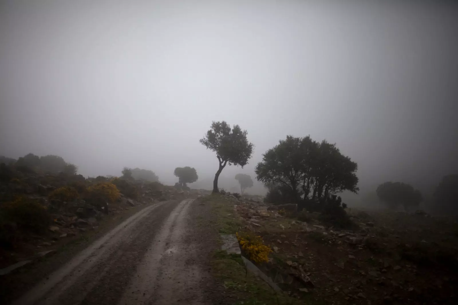 Pengalaman yang anda hanya boleh tinggal di Taman Semula Jadi Sierra de Grazalema