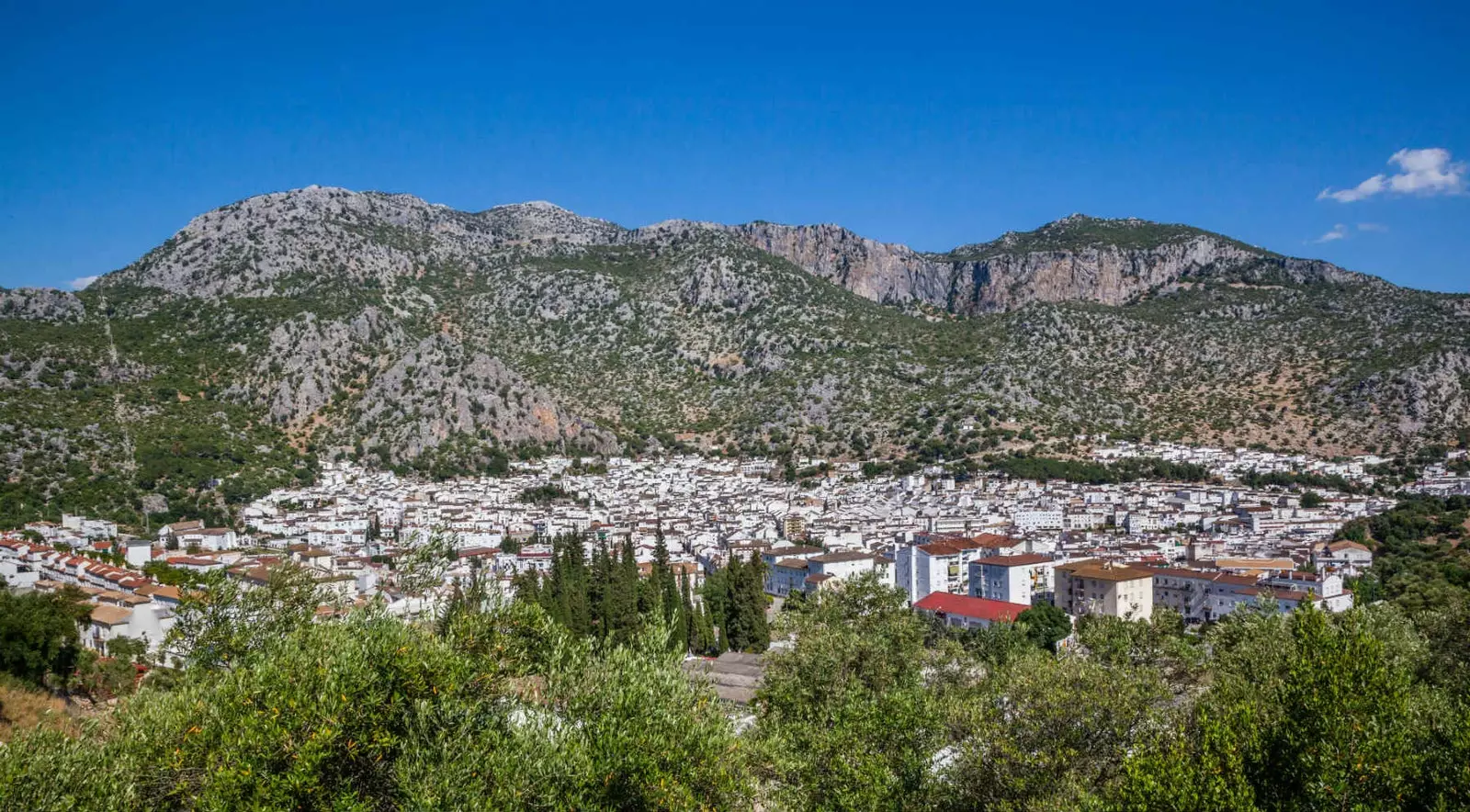 Εμπειρίες που μπορείτε να ζήσετε μόνο στο φυσικό πάρκο Sierra de Grazalema