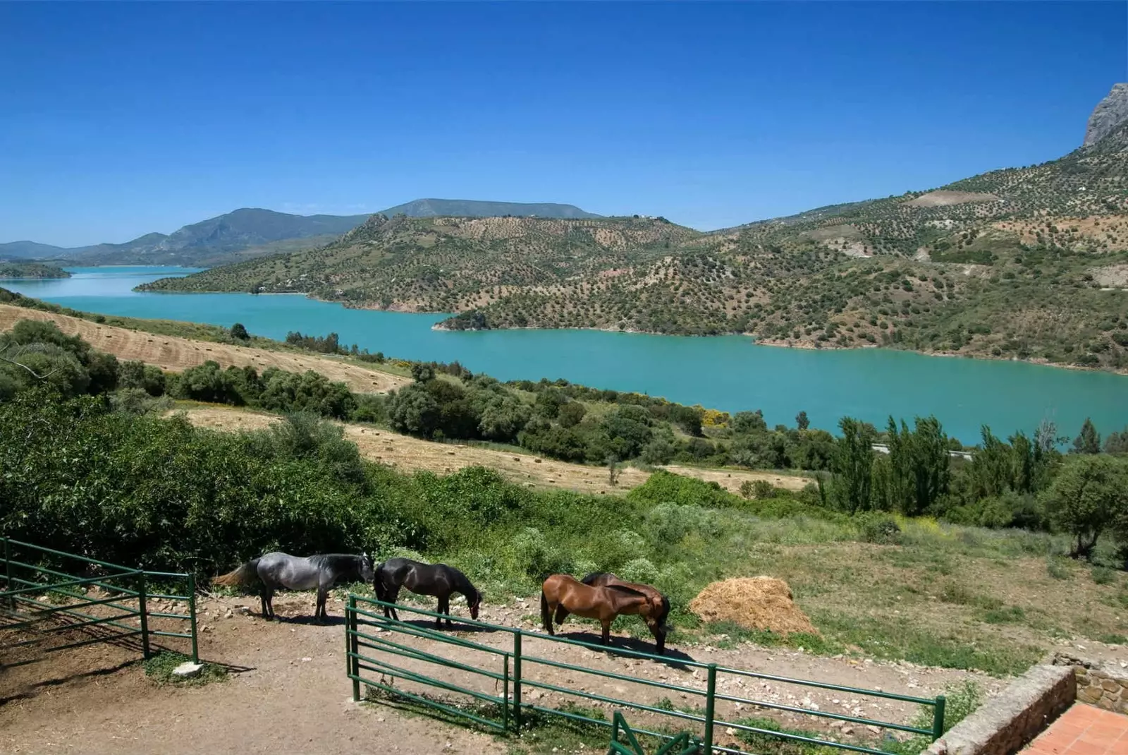 Oplev at man kun kan bo i Sierra de Grazalema Naturpark