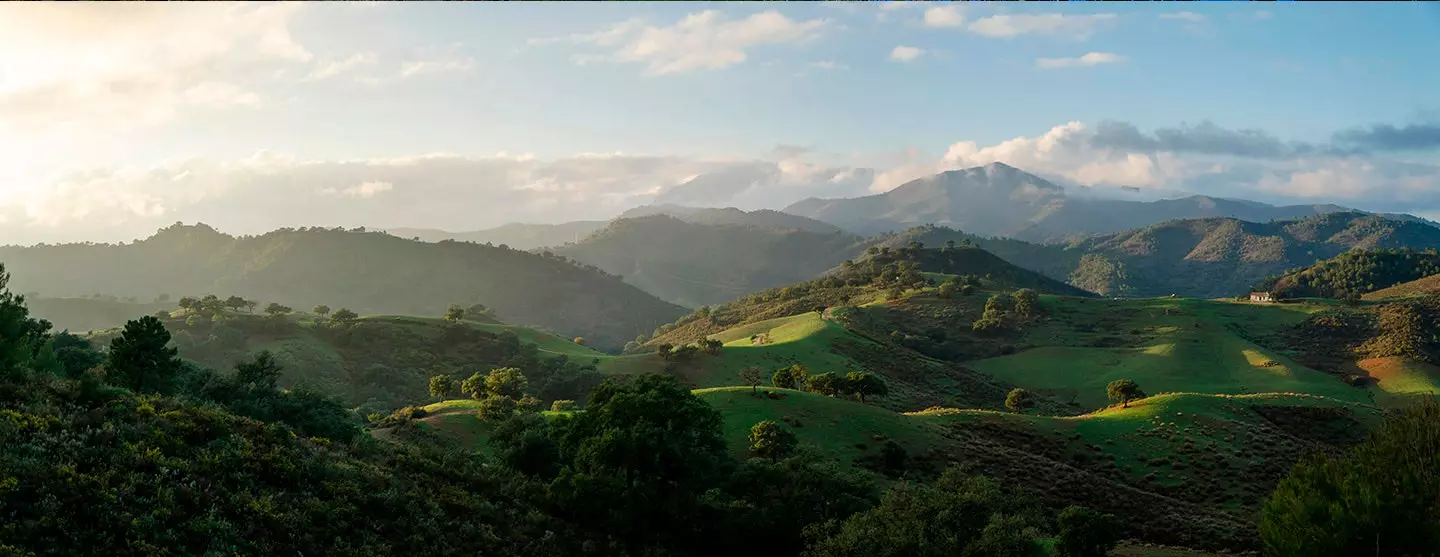 On the road from Ronda to Coín you will find landscapes typical of other latitudes