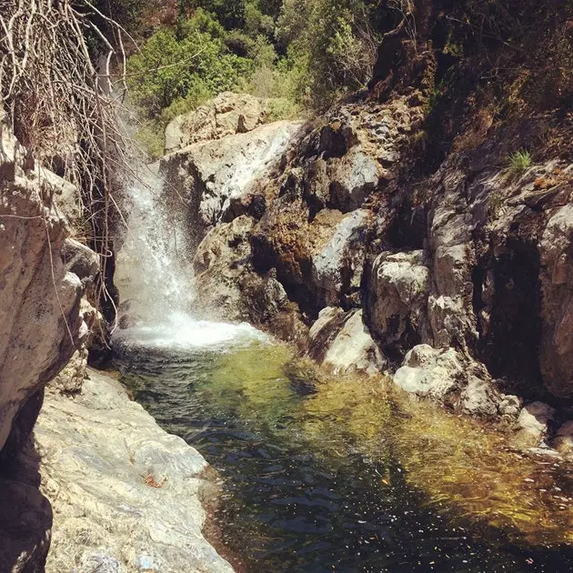 Xmara Verde li tbaxxi fil-ġibjun tal-Istn