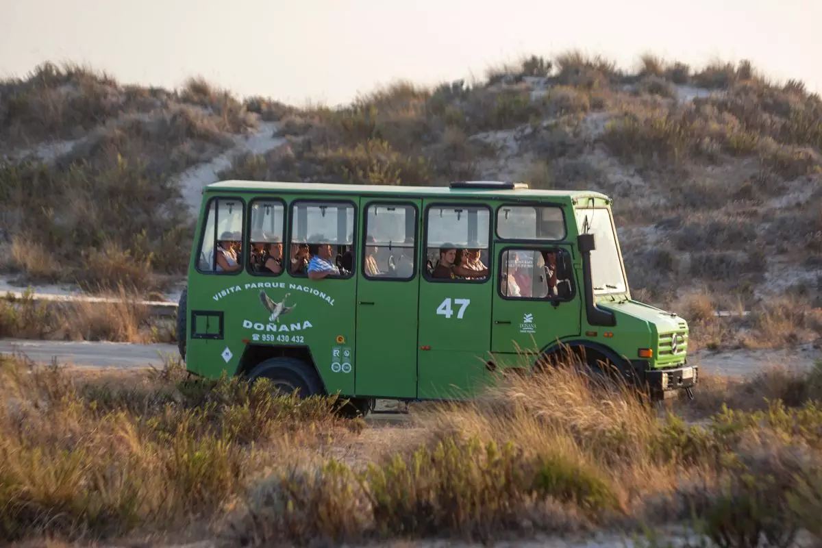 اتوبوس از پارک ملی Doñana در Huelva.