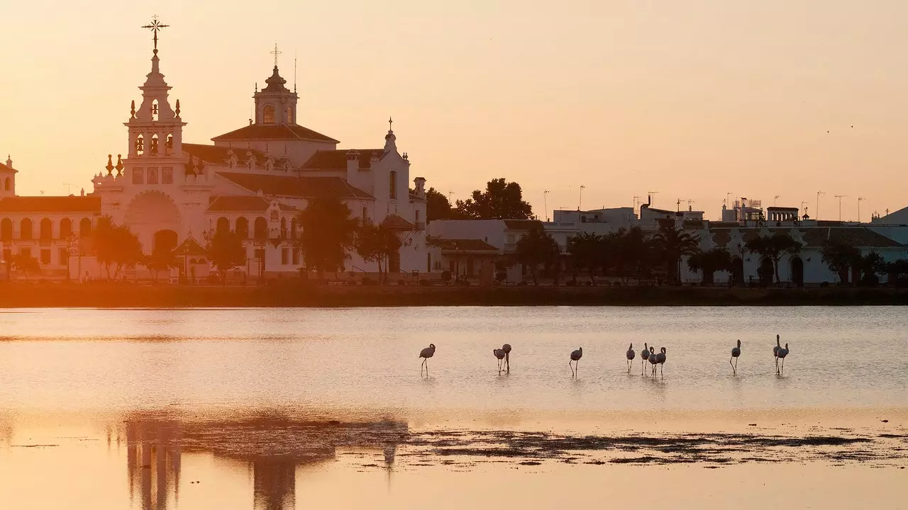 Doñana, 50 år senare