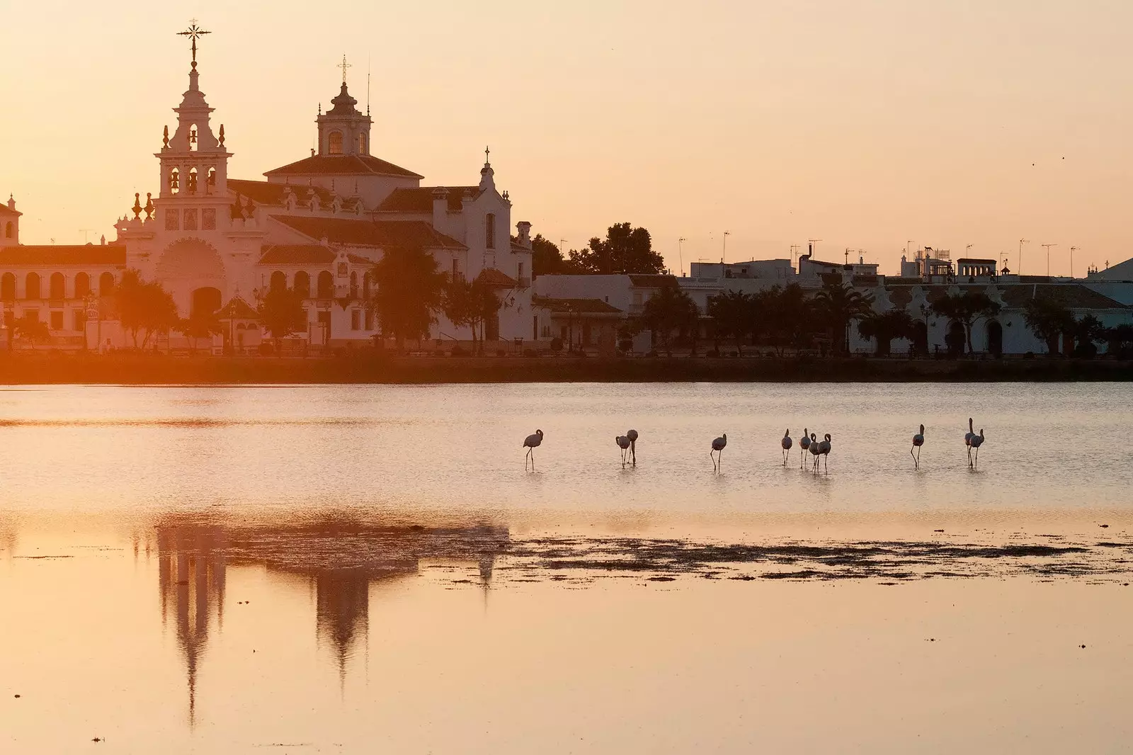 Doñana'daki El Rocío Köyü