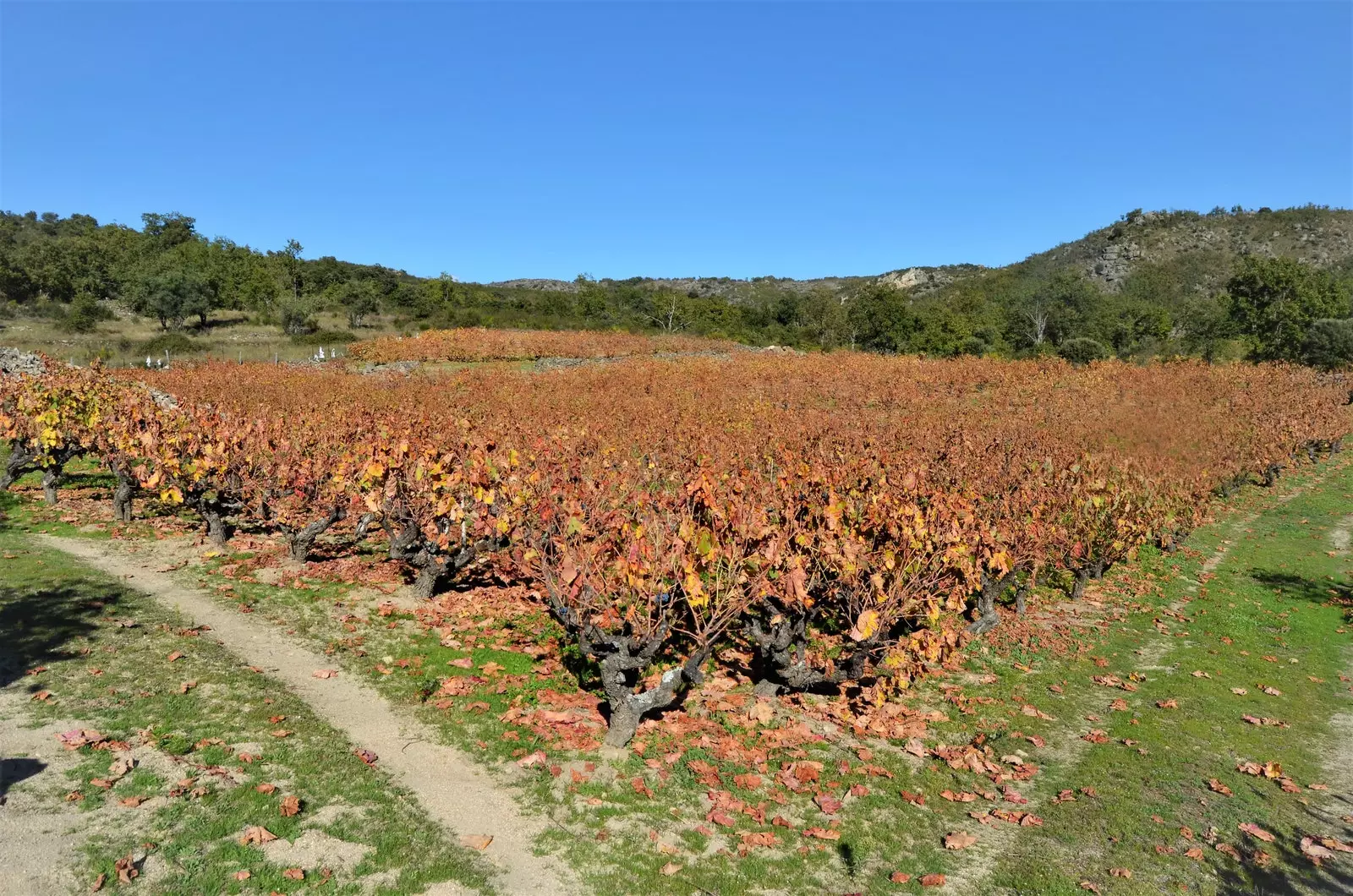 Terrazze in autunno.