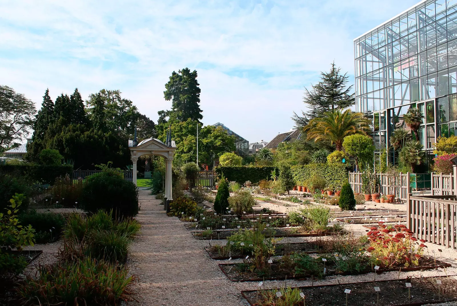 giardino botanico di leiden