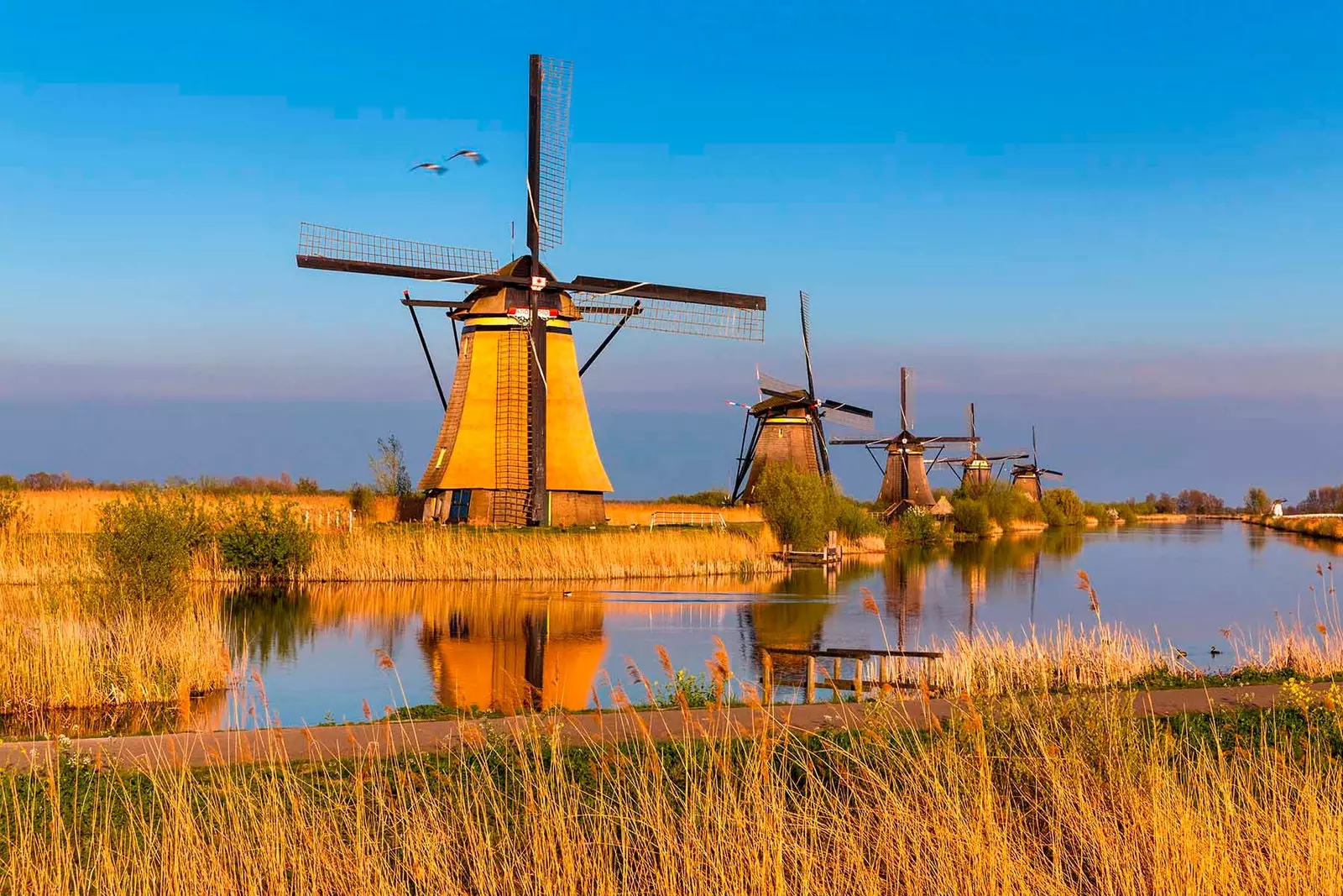 Le coucher de soleil est plus beau à Kinderdijk