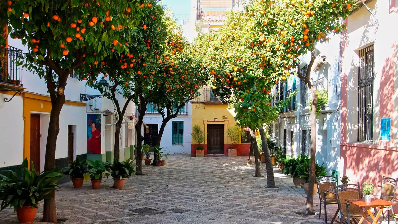 24 tímar í Barrio de Santa Cruz í Sevilla