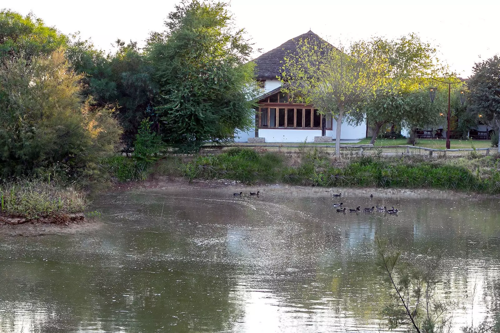 Ardea Purpurea Lodge Villamanrique de la Condesa بإشبيلية