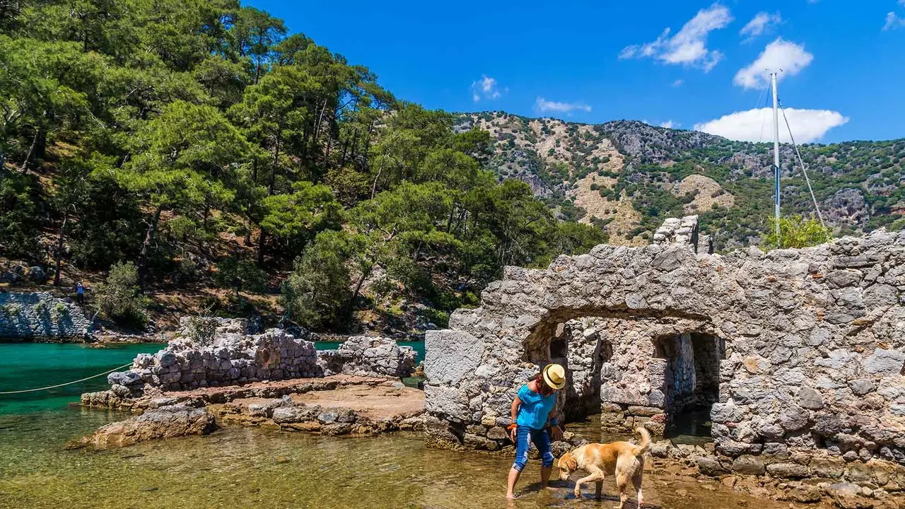 Turkija bil-kelb: mawra tal-kosta Eġew