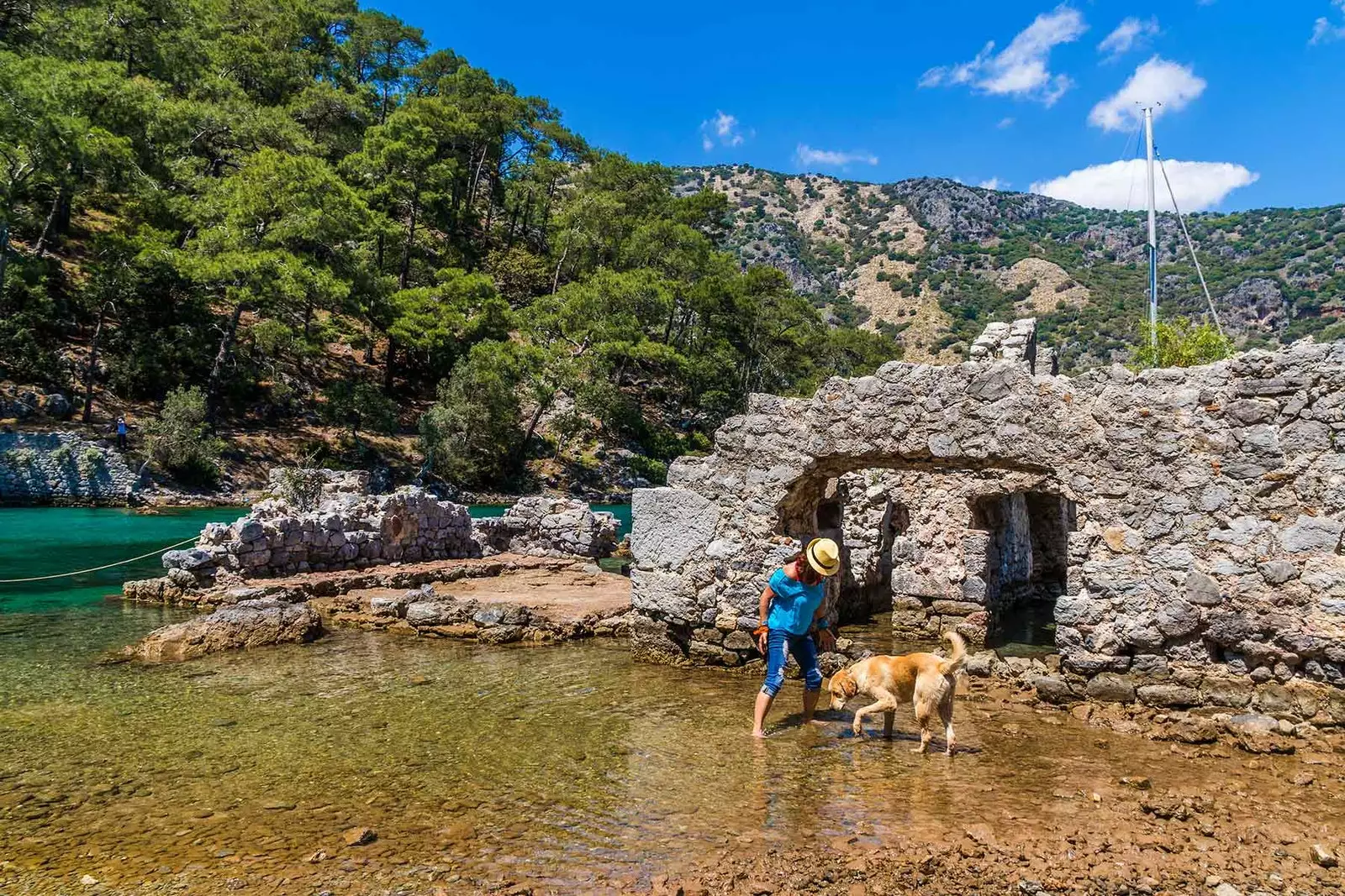 Uturuki na mbwa watembelea pwani ya Aegean