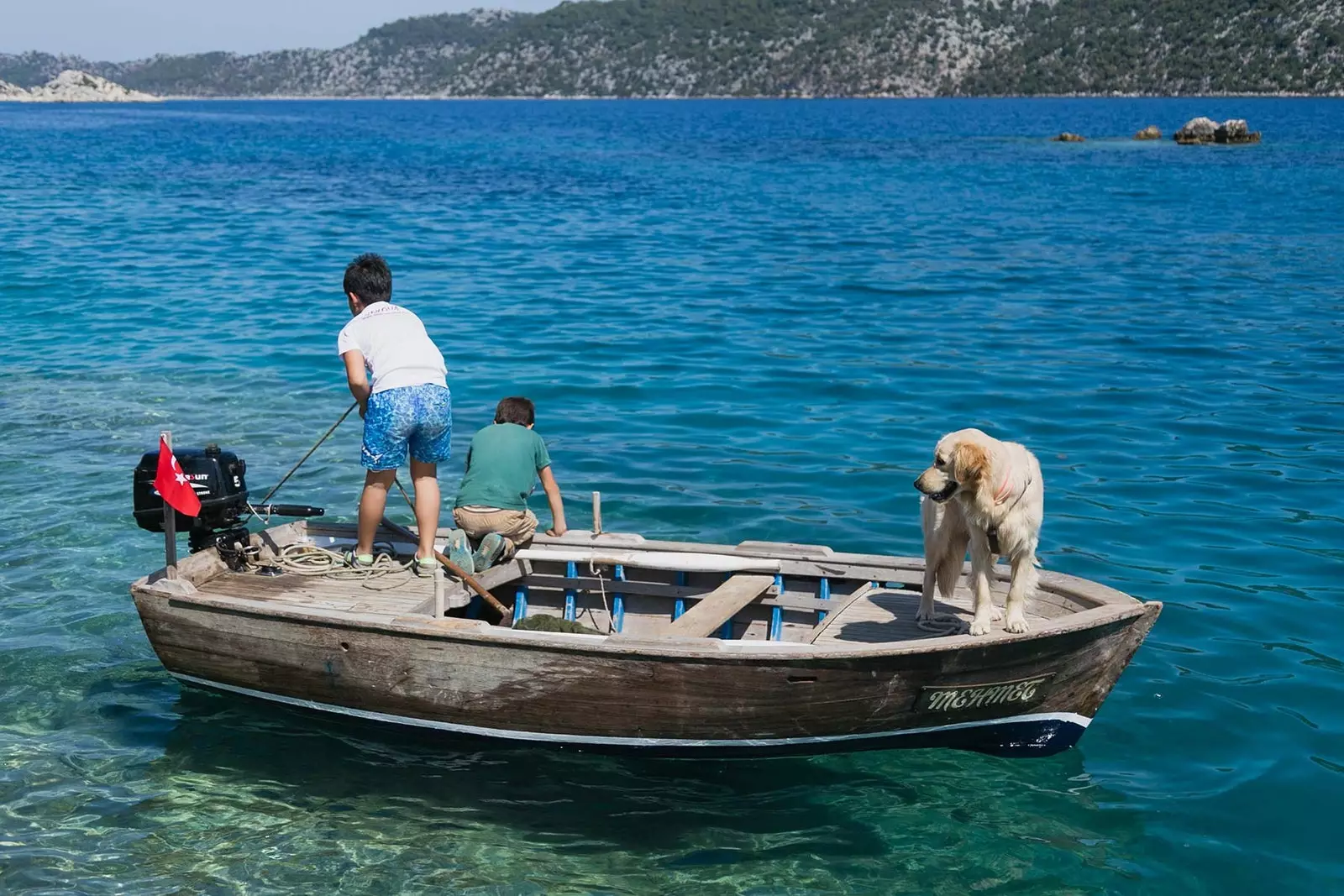 Turki dengan anjing lawatan ke pantai Aegean