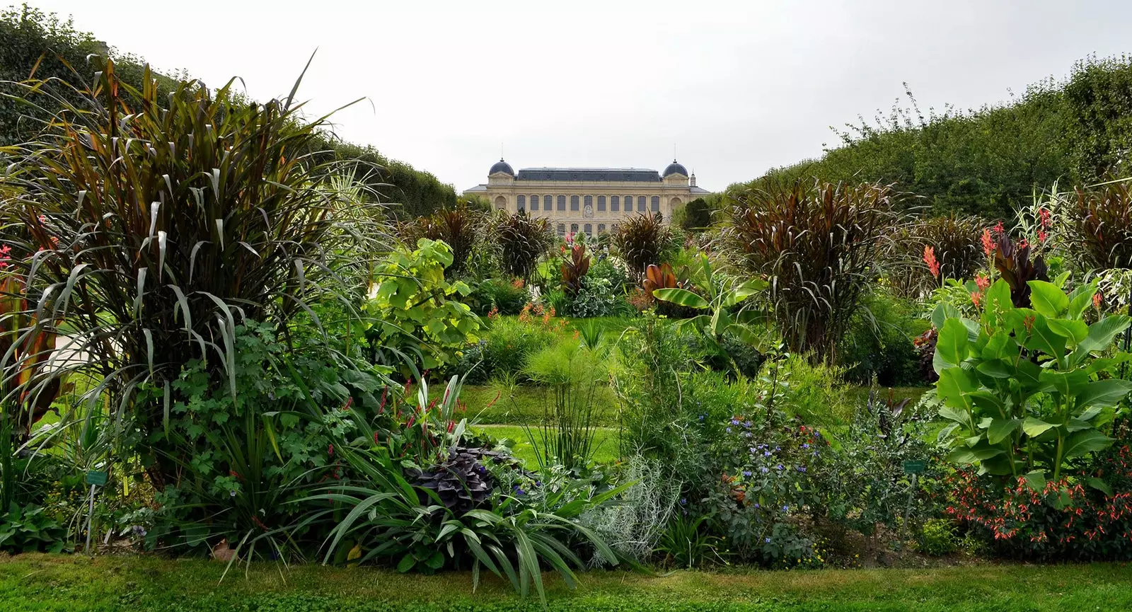 Выстава прыгажосці Chanel у Le Jardin des Plantes